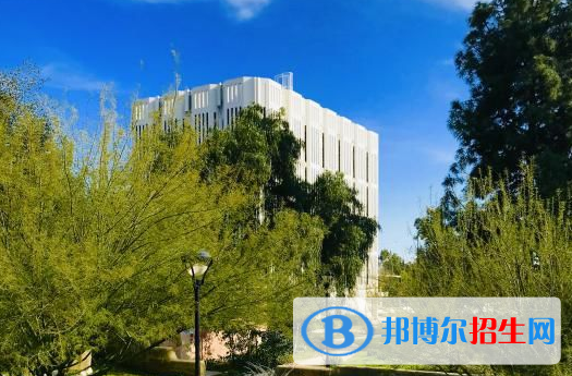 上海金蘋(píng)果雙語(yǔ)學(xué)校國(guó)際部2023年報(bào)名條件、招生要求、招生對(duì)象