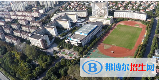 上海金蘋果雙語學(xué)校國際部怎么樣、好不好