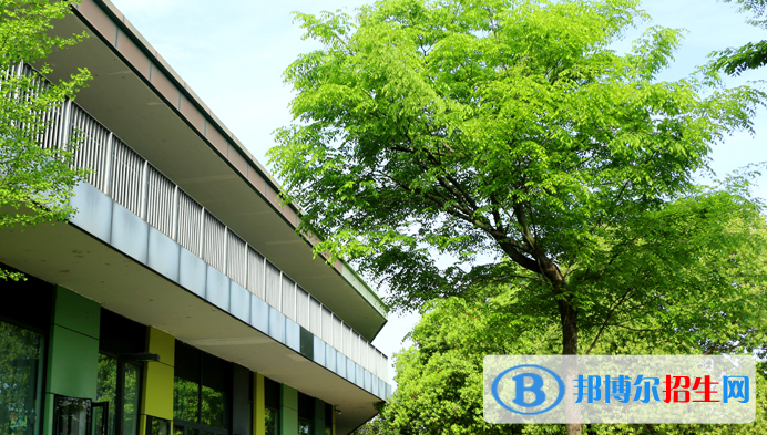 杭州育瀾劍橋國際中心2020年招生計劃