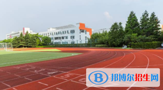 深圳青之藤國際學校2023年招生計劃