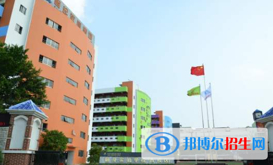深圳青之藤國際學校網站網址
