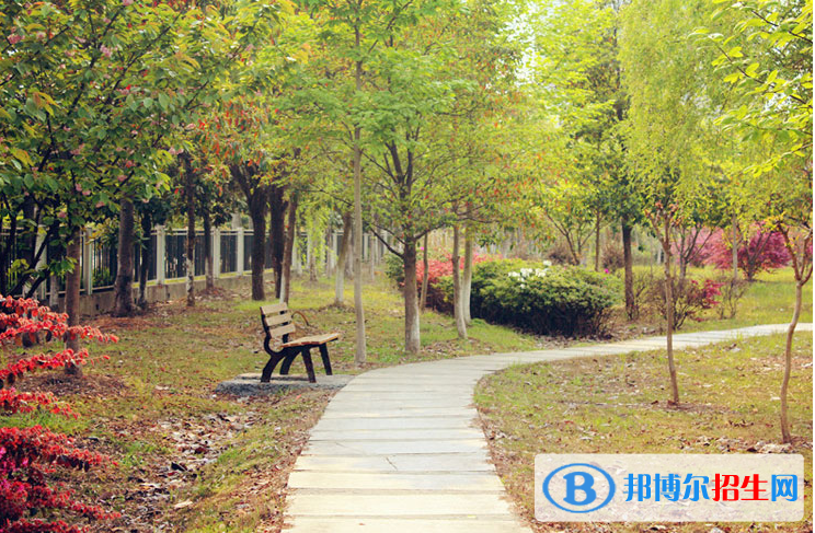 浙江經(jīng)濟職業(yè)技術(shù)學院2020年有哪些專業(yè)