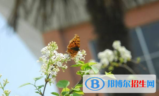 西安第五中學(xué)2020年學(xué)費(fèi)、收費(fèi)多少