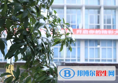 德陽科貿職業(yè)學院地址在哪里