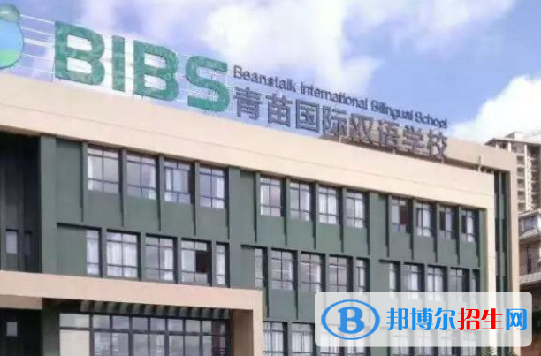 昆明呈貢青苗國際雙語學校初中部2020年招生簡章