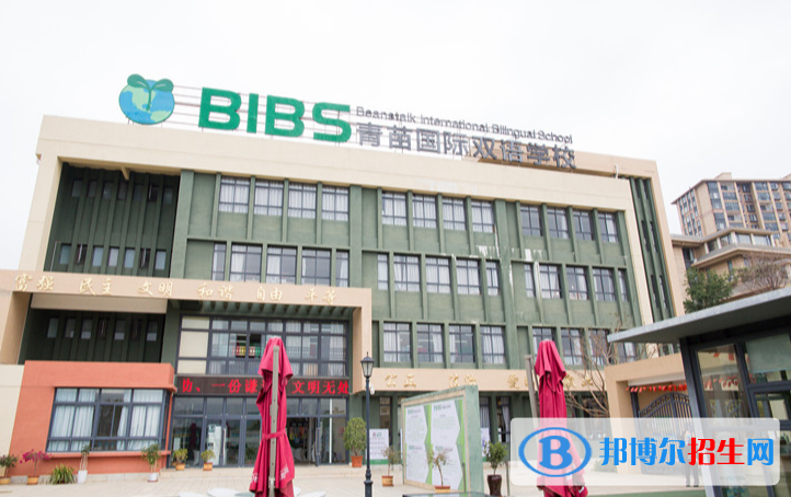 昆明呈貢青苗國際雙語學校初中部2020年報名條件、招生要求、招生對象