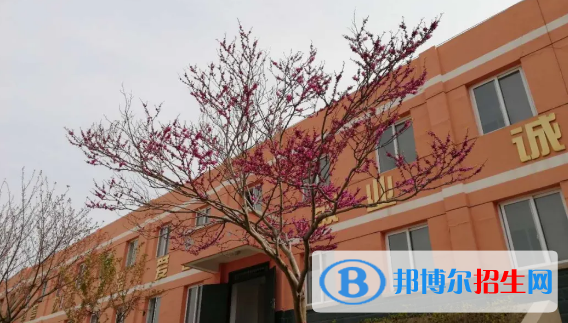 成縣化埡農(nóng)職業(yè)中學(xué)怎么樣、好不好