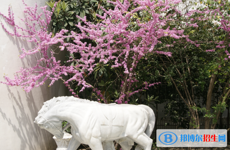 杭州國泰外語藝術(shù)學(xué)校初中部怎么樣、好不好