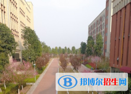 綿陽富樂國際學校初中部地址在哪里