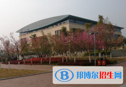 綿陽富樂國際學校初中部網(wǎng)站網(wǎng)址
