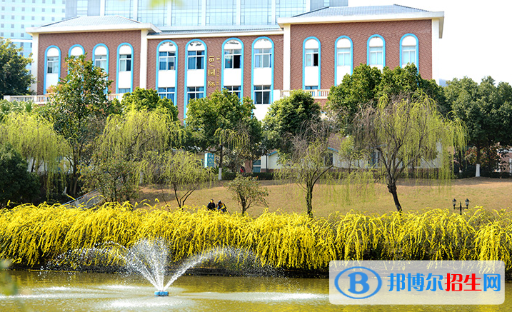 成都美視國際學校網(wǎng)站網(wǎng)址