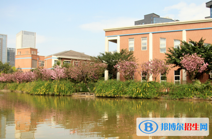 成都美視國際學(xué)校初中部怎么樣、好不好