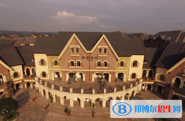 成都協(xié)同國際學(xué)校初中部2020年招生計劃
