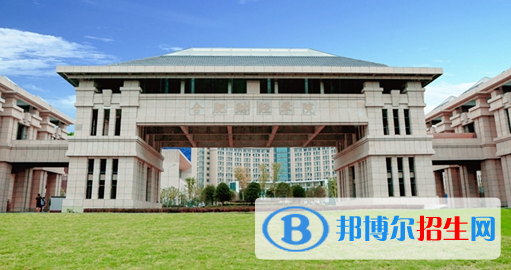 民辦合肥財(cái)經(jīng)職業(yè)學(xué)院2020年招生簡章