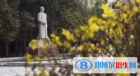東北育才學(xué)校國(guó)際小學(xué)部2020年報(bào)名條件、招生要求、招生對(duì)象