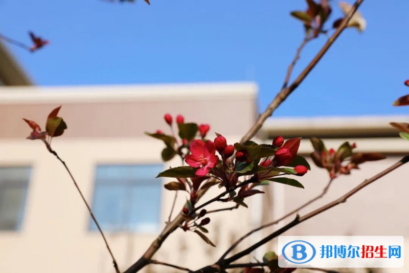 眉山藥科職業(yè)學院網(wǎng)站網(wǎng)址