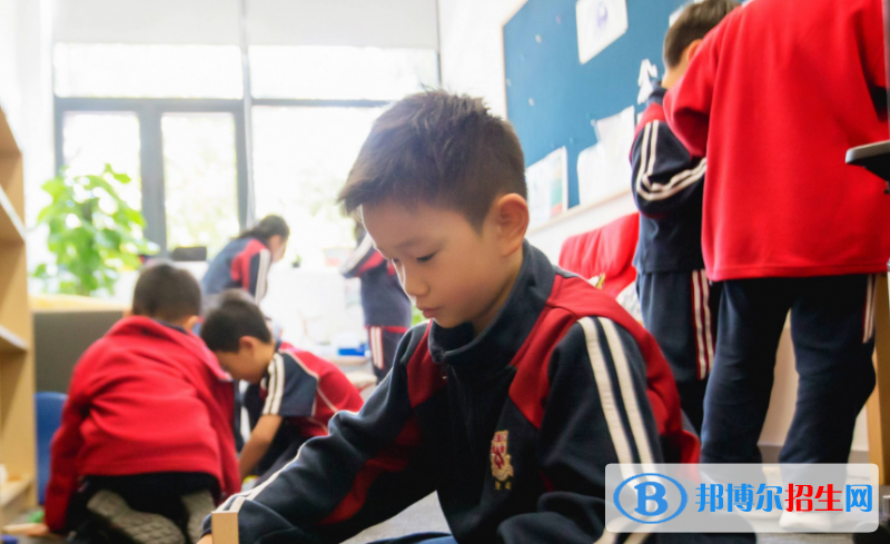 上海德閎學(xué)校小學(xué)部2020年報(bào)名條件、招生要求、招生對象
