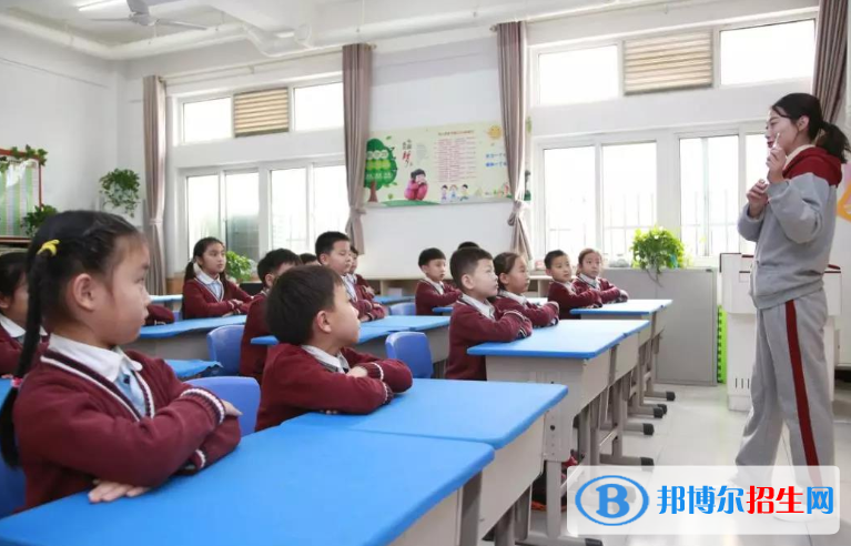 寶睿未來國際小學(xué)地址在哪里