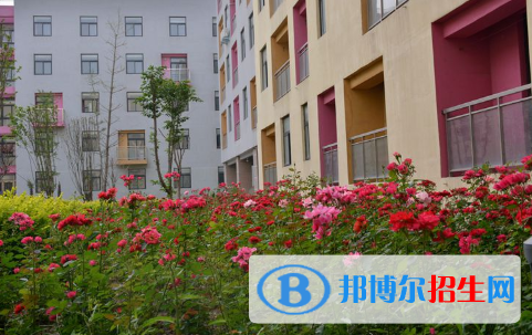 河南師大附中雙語國際學校小學部怎么樣、好不好