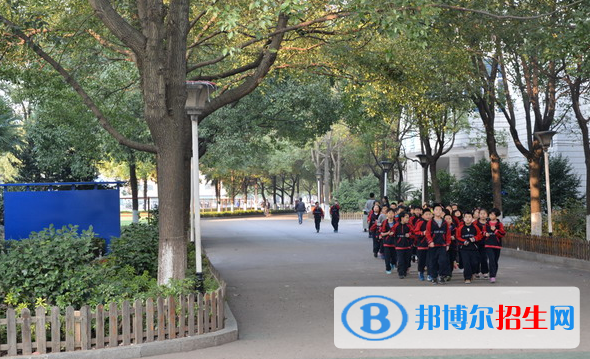 長沙麓山國際實驗學(xué)校小學(xué)部2020年報名條件、招生要求、招生對象