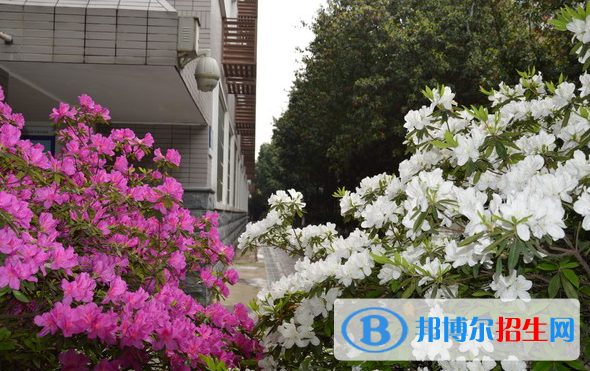 長沙麓山國際實(shí)驗(yàn)學(xué)校小學(xué)部地址在哪里