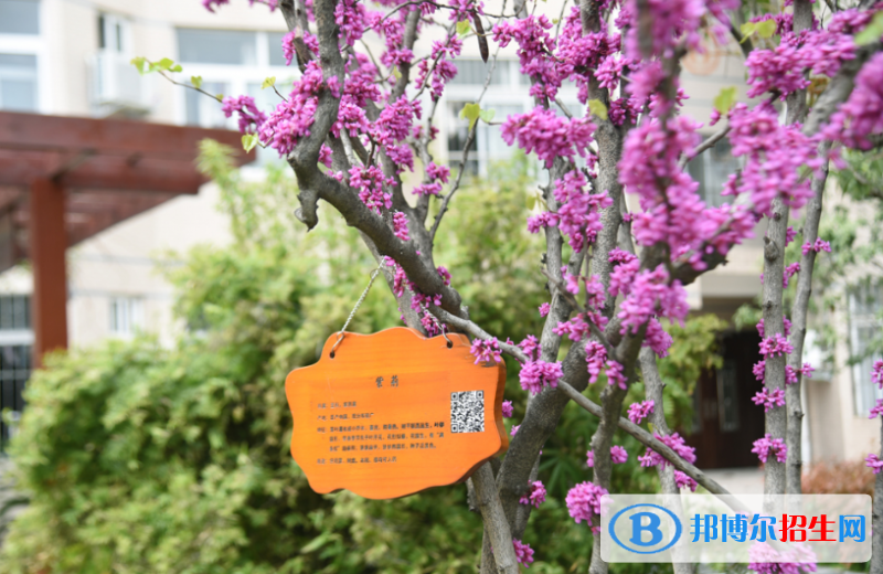  安康旬陽(yáng)中學(xué)2020年招生辦聯(lián)系電話
