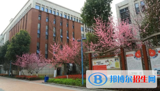 綿陽富樂國際學(xué)校小學(xué)部怎么樣、好不好