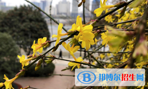  安康第二中學(xué)2020年學(xué)費、收費多少
