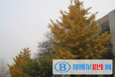  樂亭縣第二中學(xué)怎么樣、好不好