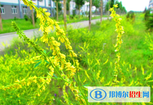 張北縣第一中學(xué)2021年怎么樣、好不好