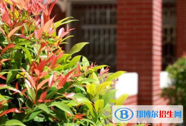 青白江區(qū)姚渡中學網(wǎng)站網(wǎng)址 