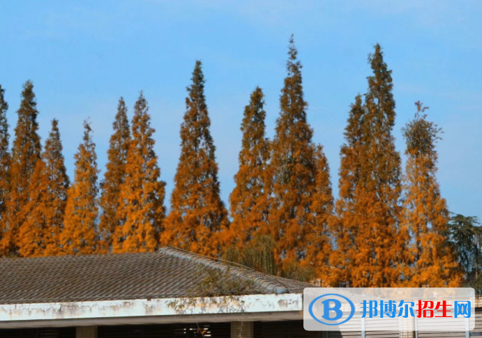 都江堰外國語實驗中學(xué)網(wǎng)站網(wǎng)址 