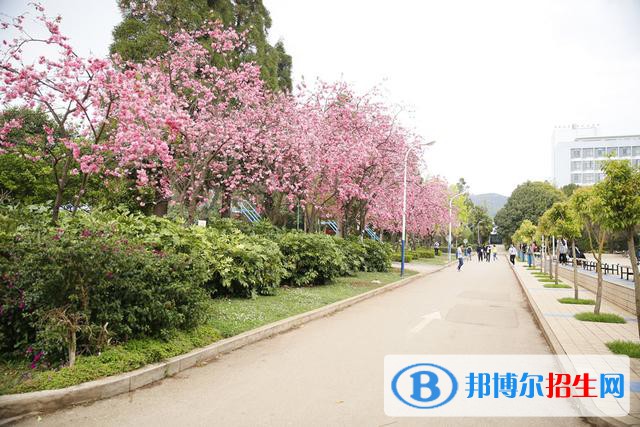 云南聯(lián)合經(jīng)濟學(xué)校2021年錄取分數(shù)線