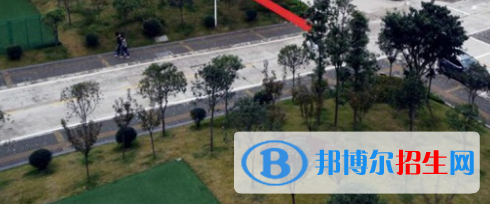四川2021年什么電子商務(wù)學校有前途