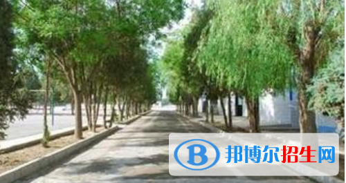 蘭州2021年中?？梢钥际裁醋C