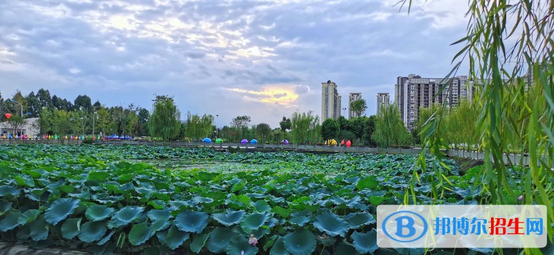 四川2022年中專學校是干什么的
