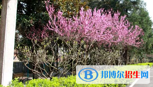 貴陽(yáng)2022年讀中專多少錢