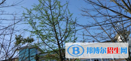 四川現(xiàn)代藝術(shù)學(xué)校2022年報名條件、招生要求、招生對象