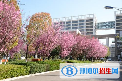 昆明2022年有哪些收衛(wèi)校的大專(zhuān)