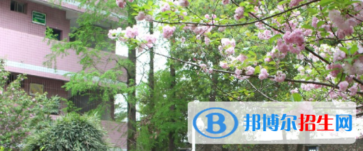 雙流縣建設(shè)職業(yè)技術(shù)學(xué)校2022年招生錄取分?jǐn)?shù)線(xiàn)