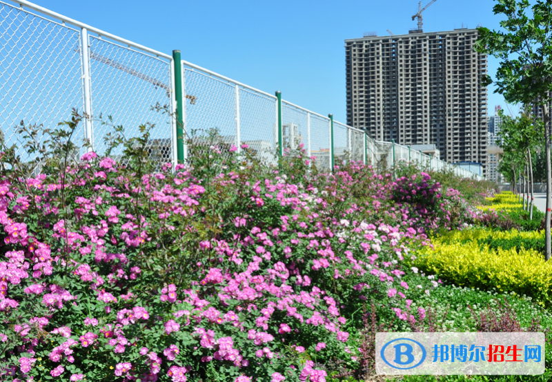 石家莊現(xiàn)代經(jīng)貿(mào)中等專業(yè)學(xué)校怎么樣、好不好