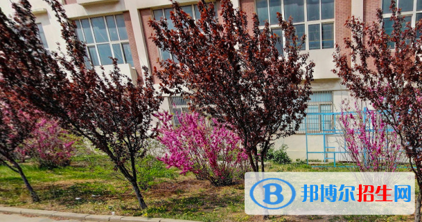 青島市石化高級技工學(xué)校怎么樣、好不好