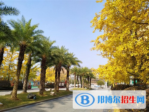 自貢匯東實驗學(xué)校2022年招生代碼