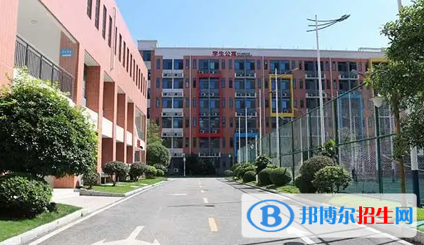 廣東碧桂園(IB國際)學校怎么樣