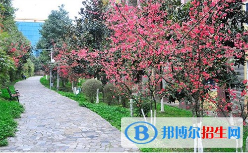 四川外國語大學成都學院中高職銜接部2022年怎么樣、好不好