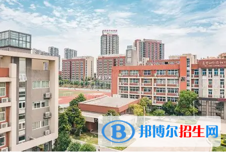 廣東碧桂園(IB國(guó)際)學(xué)校小學(xué)部靠譜嗎2