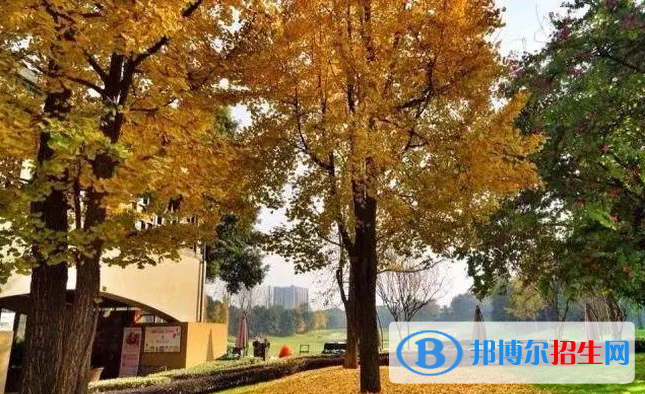成都麓山國際光亞學(xué)校小學(xué)部2023年入學(xué)考試2