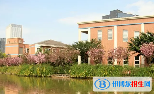 成都美視國際學(xué)校小學(xué)部2023年錄取分?jǐn)?shù)線
