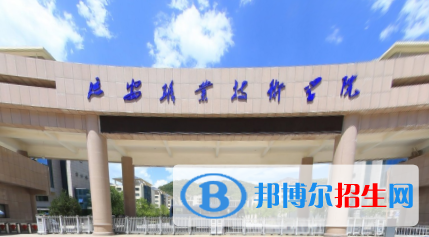 延安職業(yè)技術(shù)學(xué)院藝術(shù)類專業(yè)有哪些？（藝術(shù)類專業(yè)）