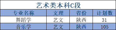 延安大學(xué)藝術(shù)類專業(yè)有哪些？